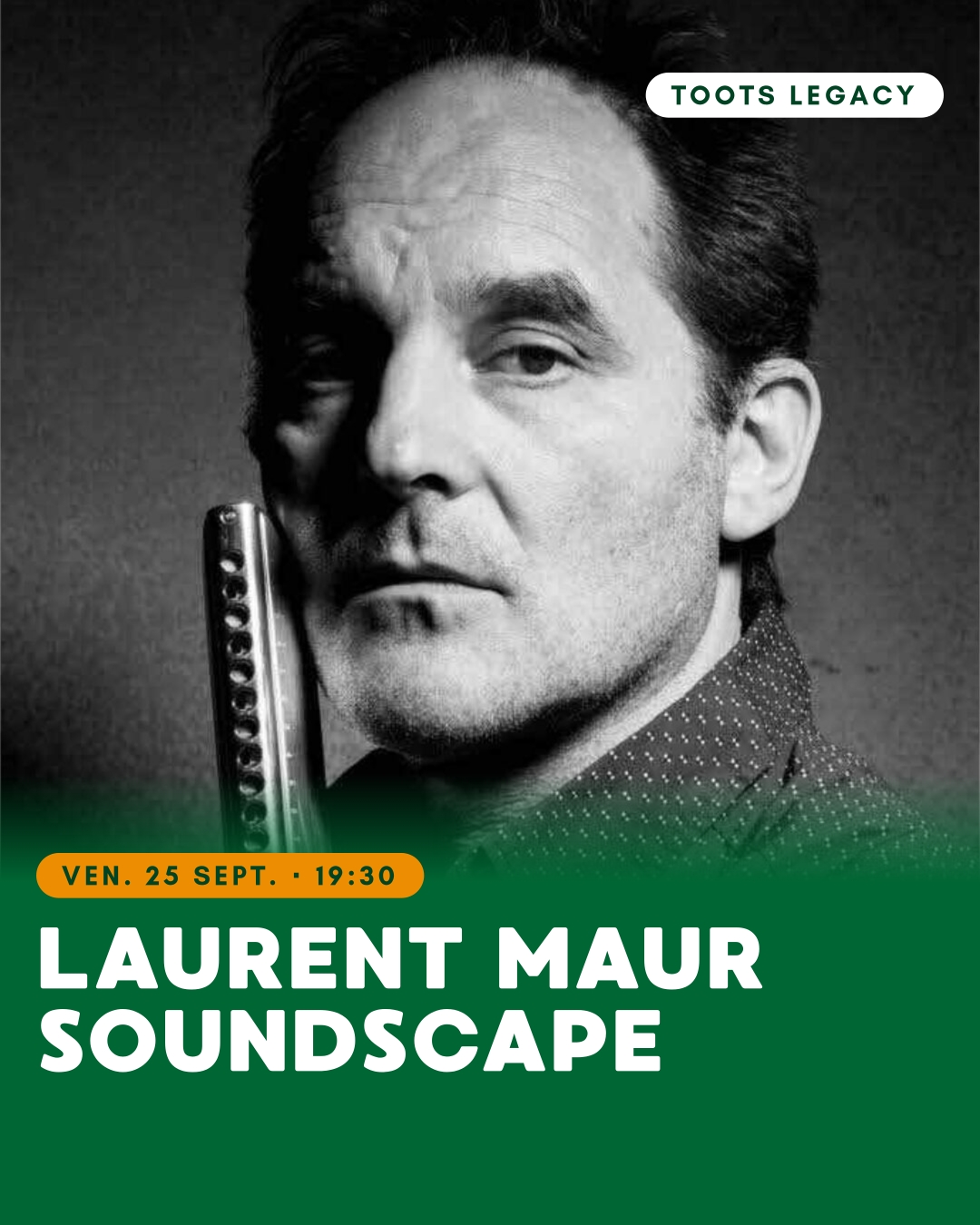 HARMONICA DAYS : Laurent Maur Soundscape