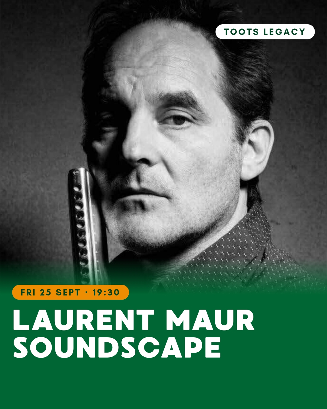 HARMONICA DAYS : Laurent Maur Soundscape